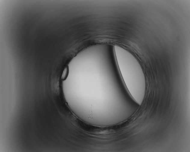 X0000094780267200711160856