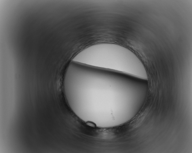 X0000094780273200711160856