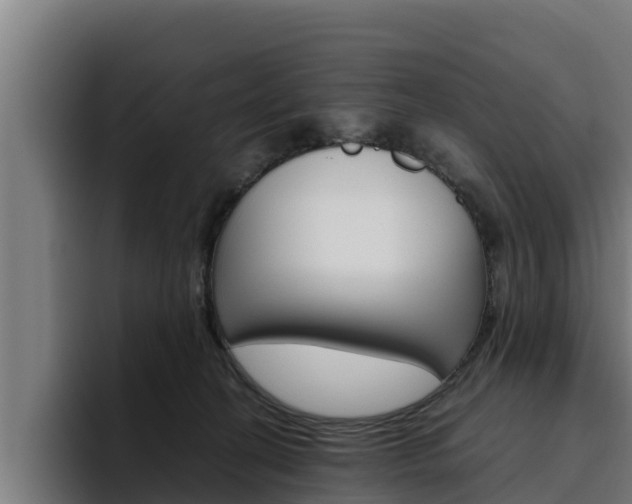 X0000094780274200711160856