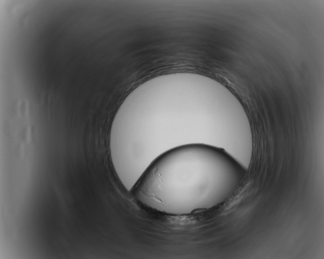 X0000094780281200711160856