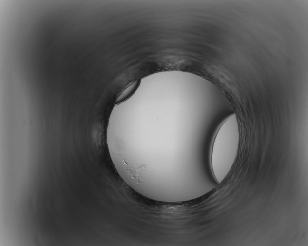 X0000094780283200711160856