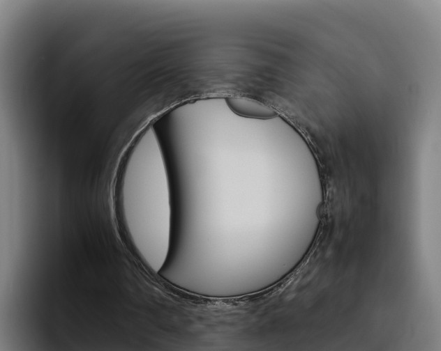 X0000094780290200711160856