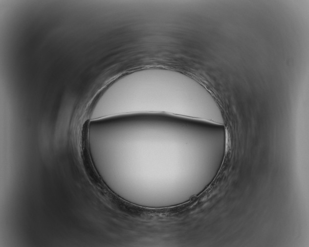 X0000094780291200711160856