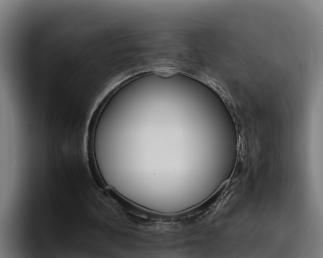 X0000094780292200711160856