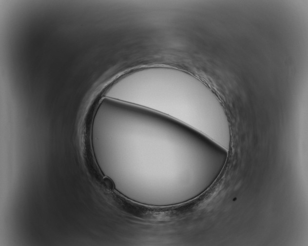 X0000094780295200711160856