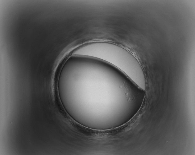 X0000094780296200711160856