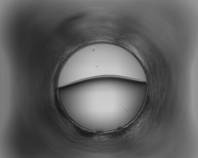 X0000094780299200711160856