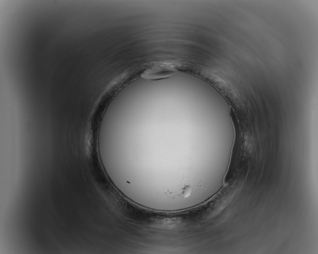 X0000094780304200711160856
