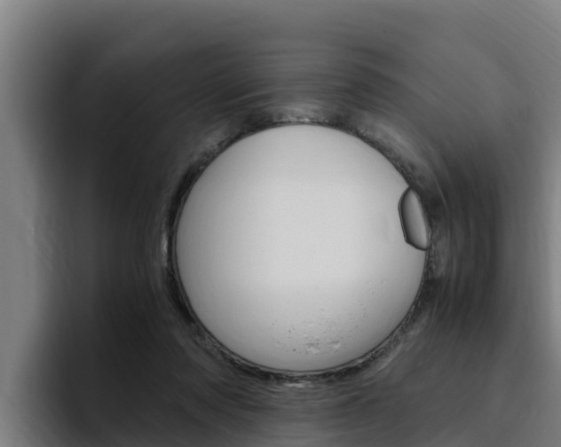X0000094780310200711160856