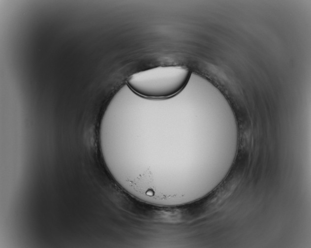 X0000094780317200711160856