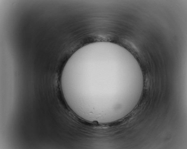 X0000094780318200711160855