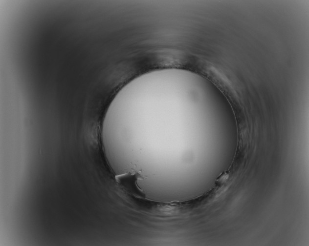 X0000094780325200711160855