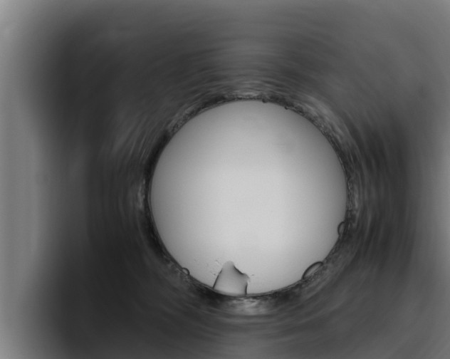 X0000094780326200711160855