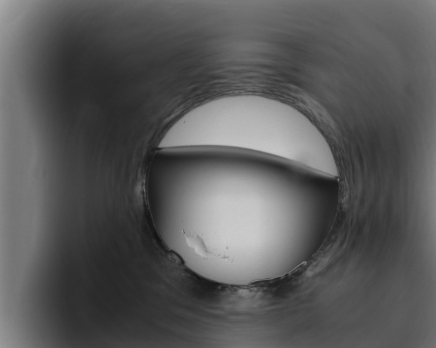 X0000094780329200711160855