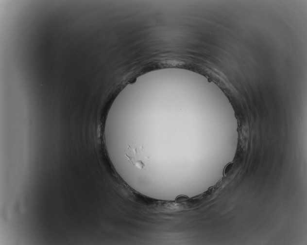 X0000094780330200711160855