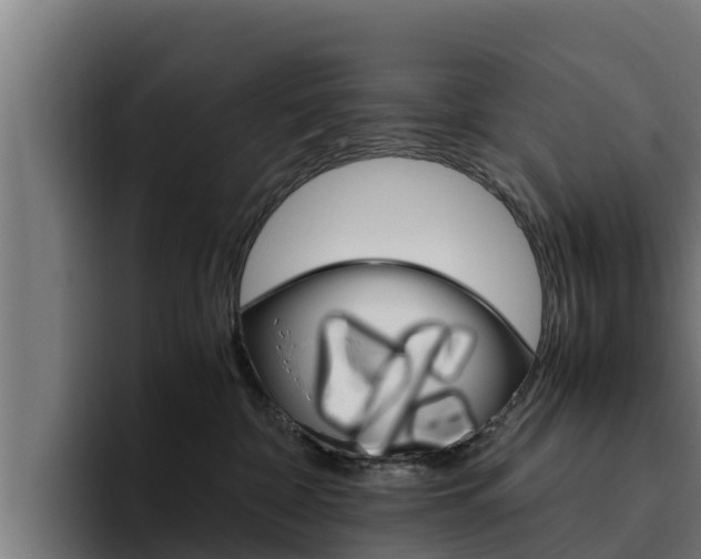 X0000094780332200711160855