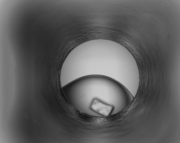 X0000094780333200711160855