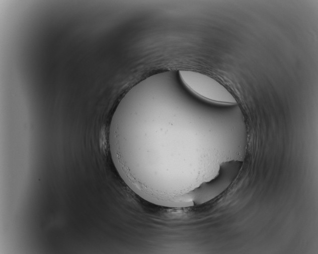 X0000094780335200711160855