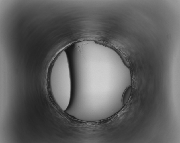 X0000094780338200711160855
