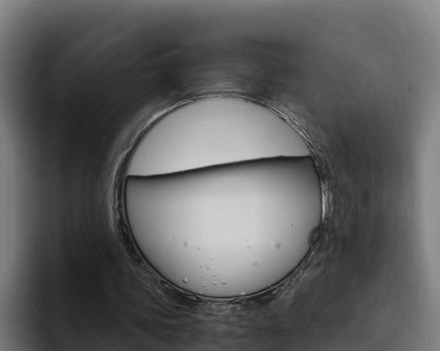 X0000094780339200711160855
