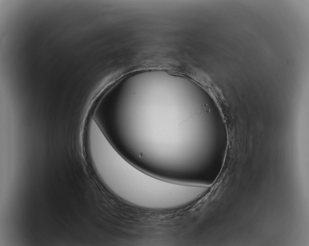 X0000094780340200711160855