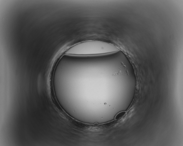X0000094780341200711160855