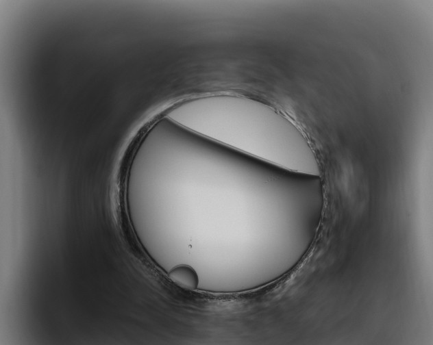 X0000094780342200711160855