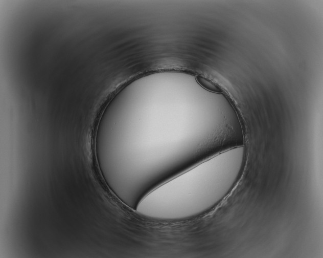 X0000094780345200711160855