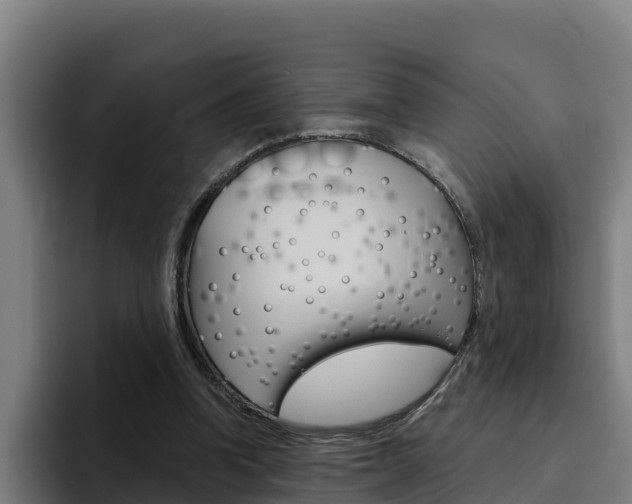 X0000094780346200711160855