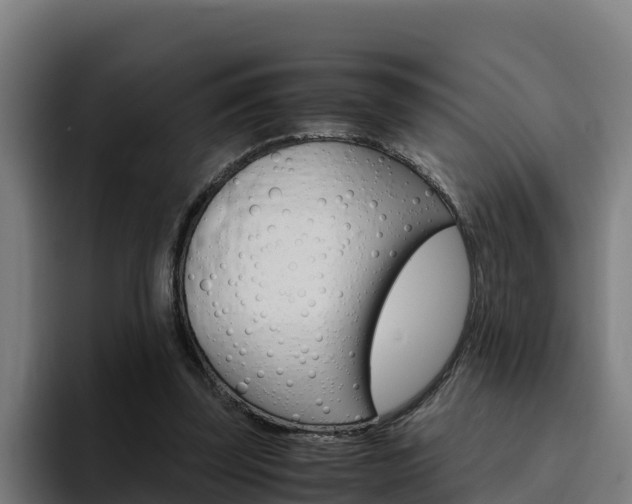 X0000094780347200711160855