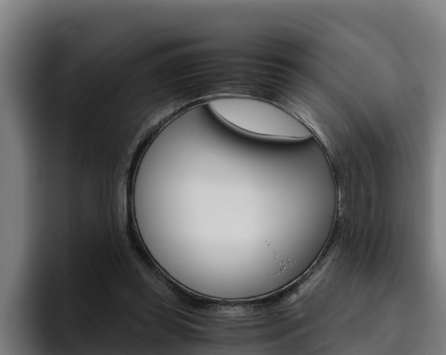 X0000094780349200711160855