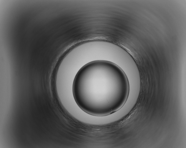 X0000094780350200711160855