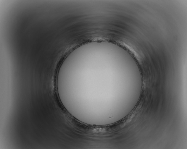 X0000094780353200711160855