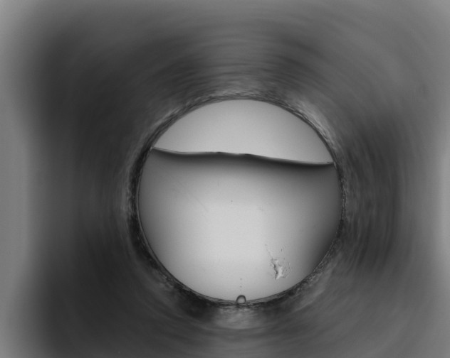 X0000094780354200711160855