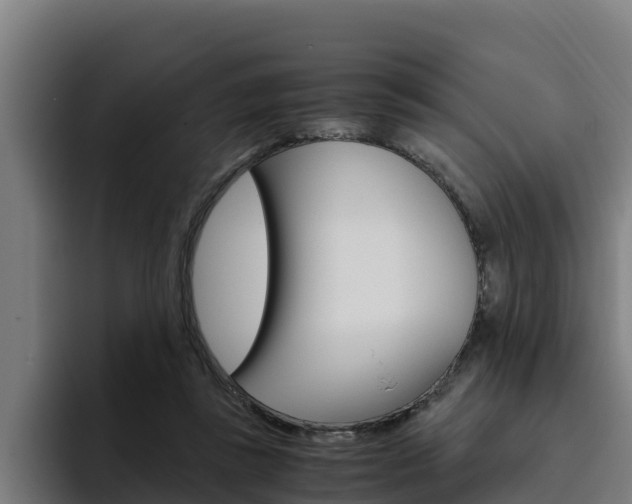 X0000094780355200711160855