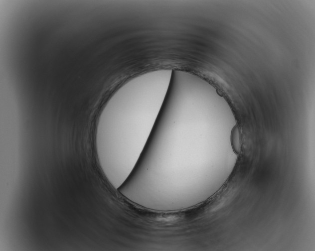 X0000094780357200711160855
