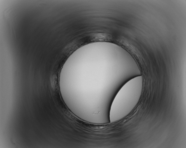 X0000094780361200711160855