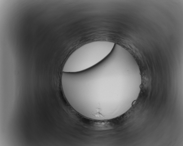 X0000094780375200711160855