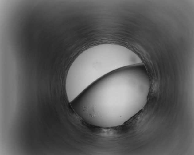 X0000094780376200711160855