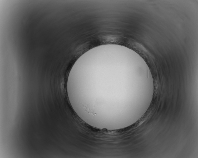 X0000094780377200711160855