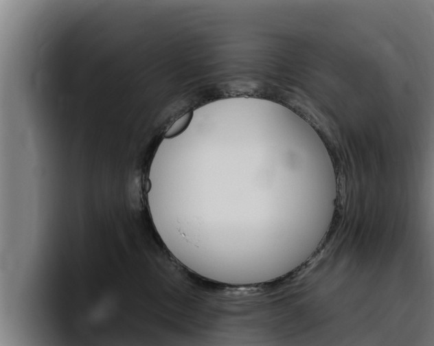 X0000094780378200711160855