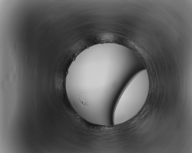 X0000094780379200711160855
