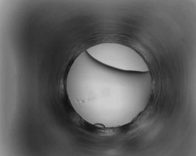 X0000094780381200711160855