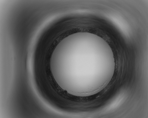 X0000094780383200711160855