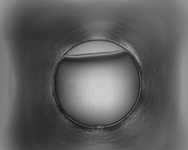 X0000094780385200711160855