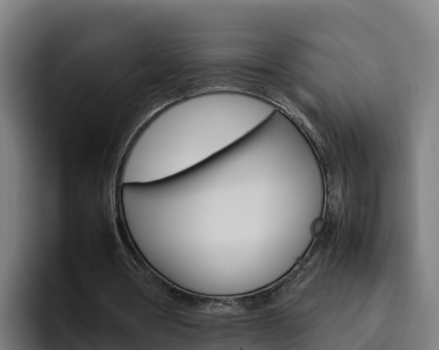 X0000094780386200711160855
