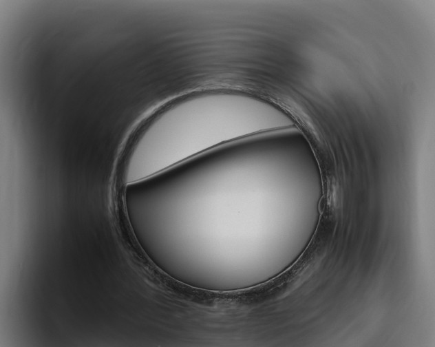 X0000094780388200711160855