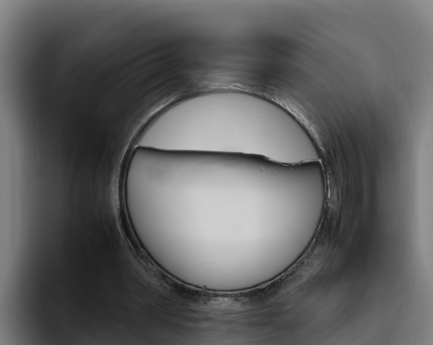 X0000094780390200711160855