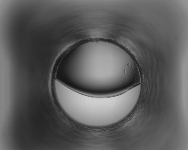 X0000094780391200711160855