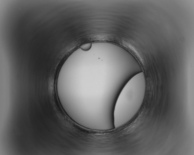 X0000094780394200711160855